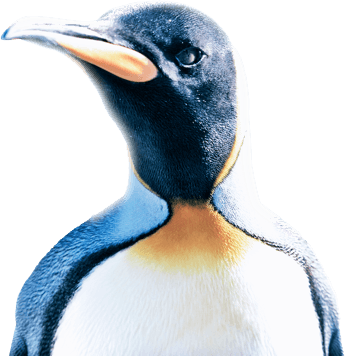 Merkelijkheid Pinguïn