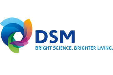 Is DSM’s positioning lacking an X-factor, making a split inevitable?
