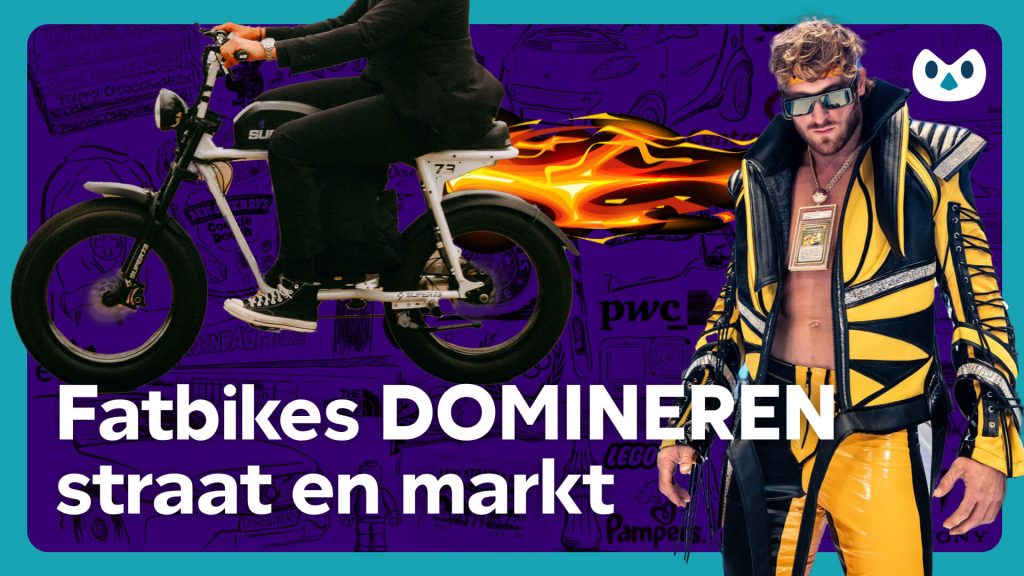 fatbike e-bike positionering