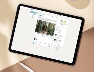 Advertising on LinkedIn: account-based sales support in B2B