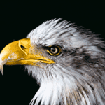 7 reasons why your positioning is more important than ever