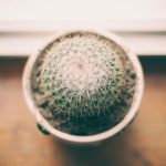 What every lawyer can learn from Coolblue’s positioning.