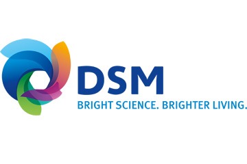 dsm-logo