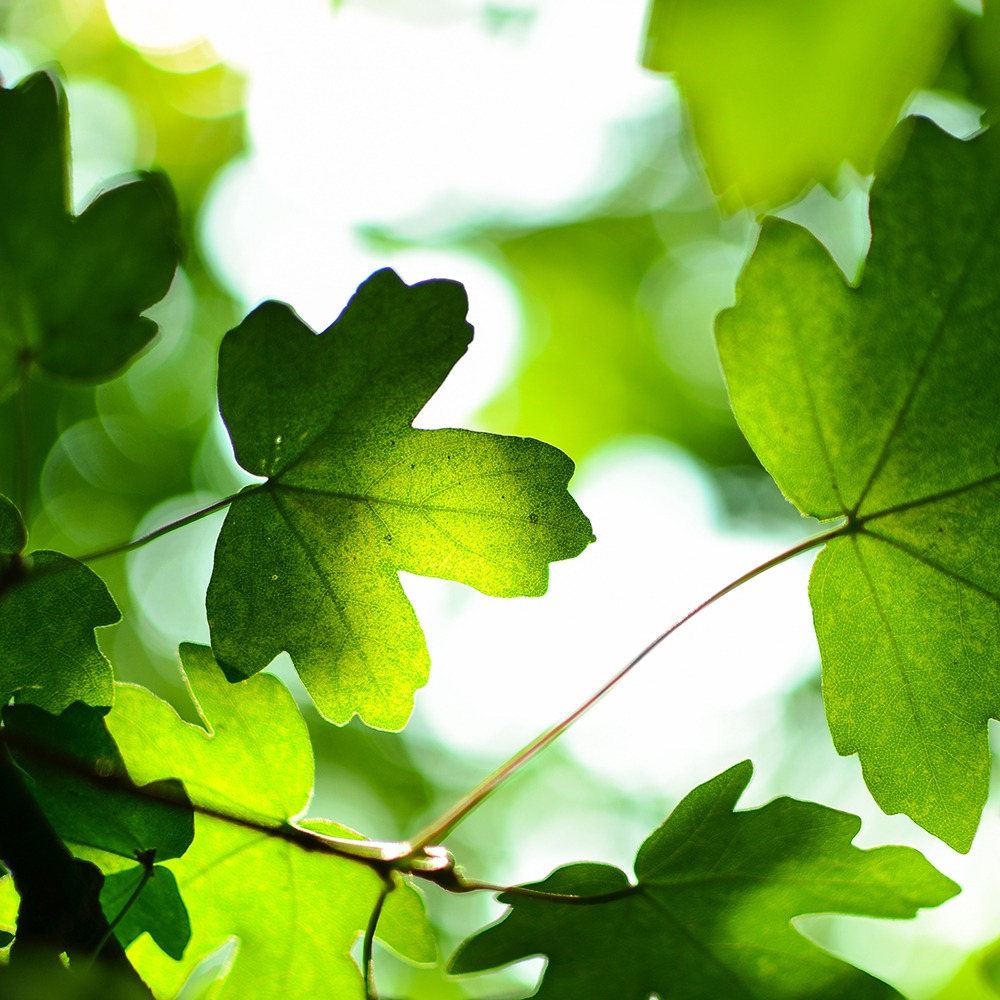 inbound marketing evergreen content