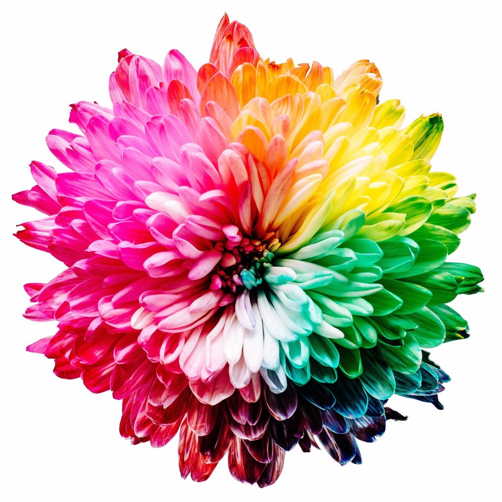 De beste kleur bij jouw positionering en merkidentiteit bepalen