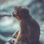 SEO voor gevorderden: naaf en spaak content marketing strategie